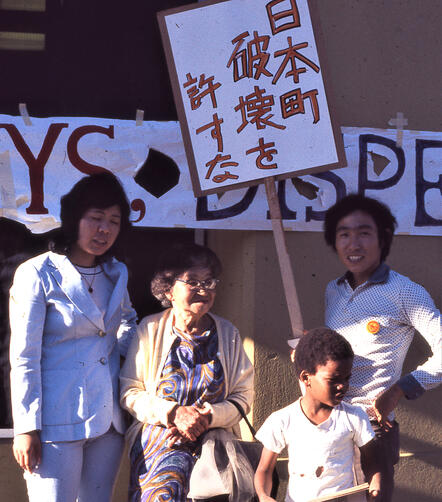 Diversity of Protestors